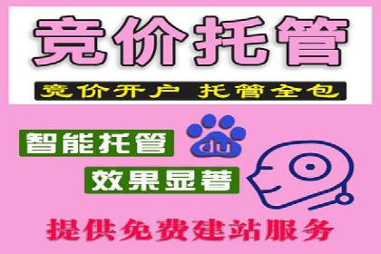 某某sem公司成功案例：如何通过SEM提升教育品牌影响力